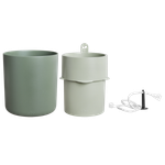 bouncy basil leaf green